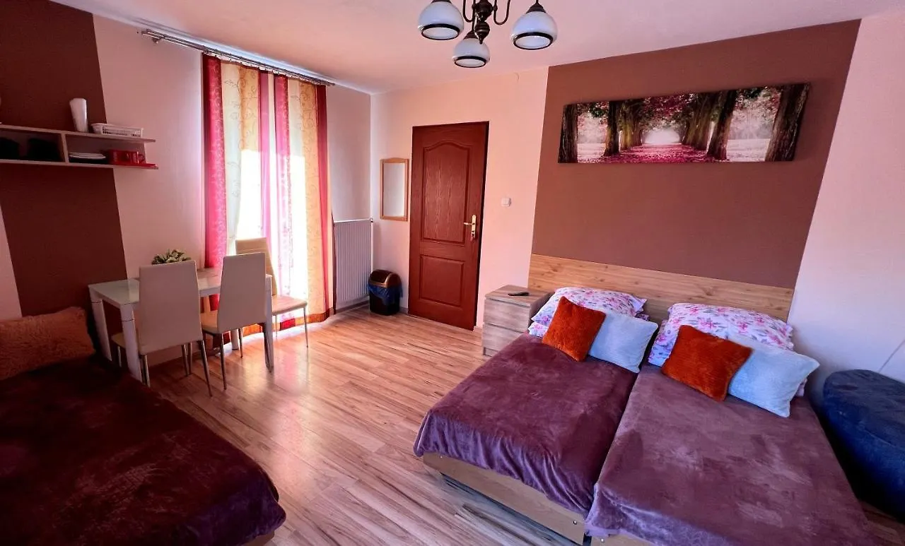 Pokoje U Reni - 5 Minut Do Krupowek - Widok Na Gory Zakopane Homestay